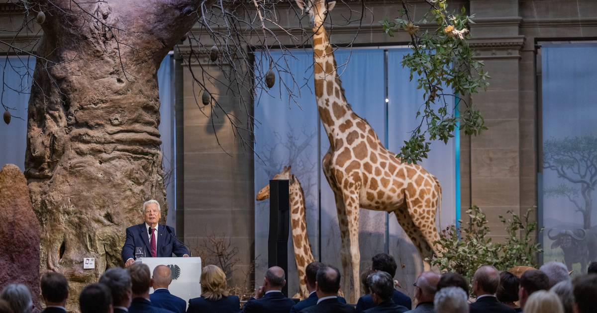 Museum Koenig in Bonn: Forschung zur "Bundesgiraffe"