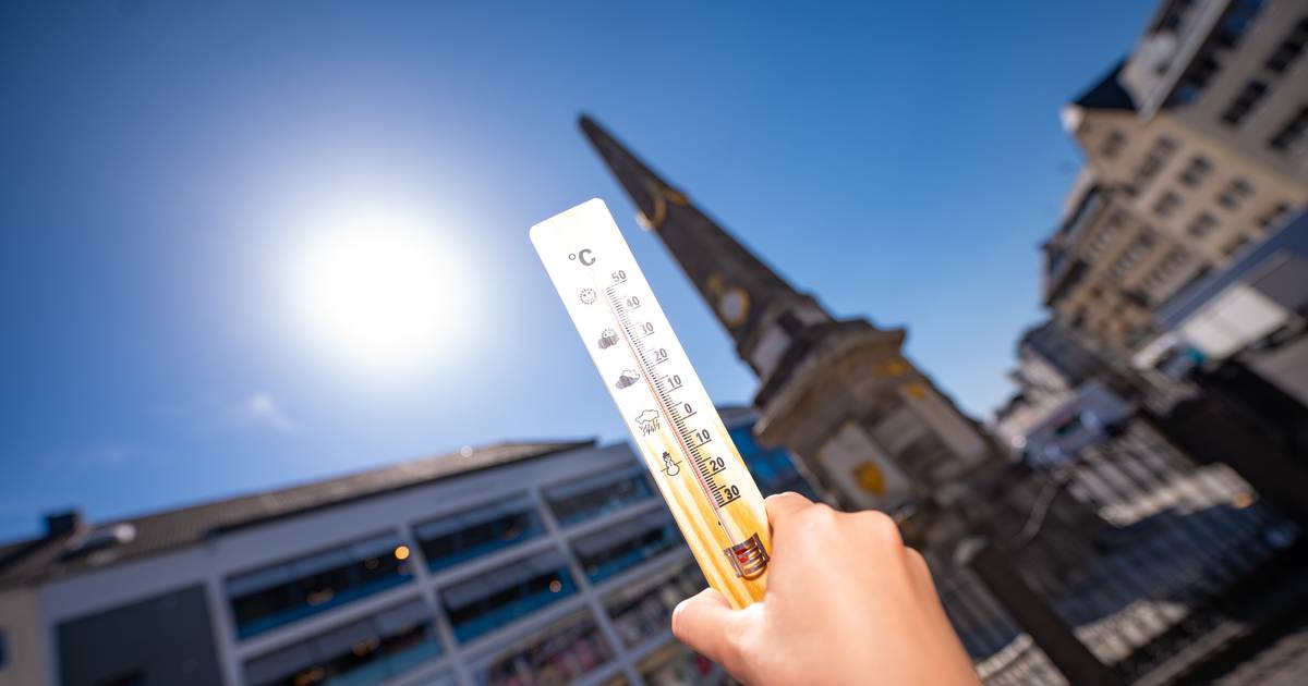 Klimaneutralität in Bonn bis 2035