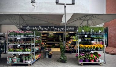 Wie es mit den Mietern im früheren Kaufhof weitergeht