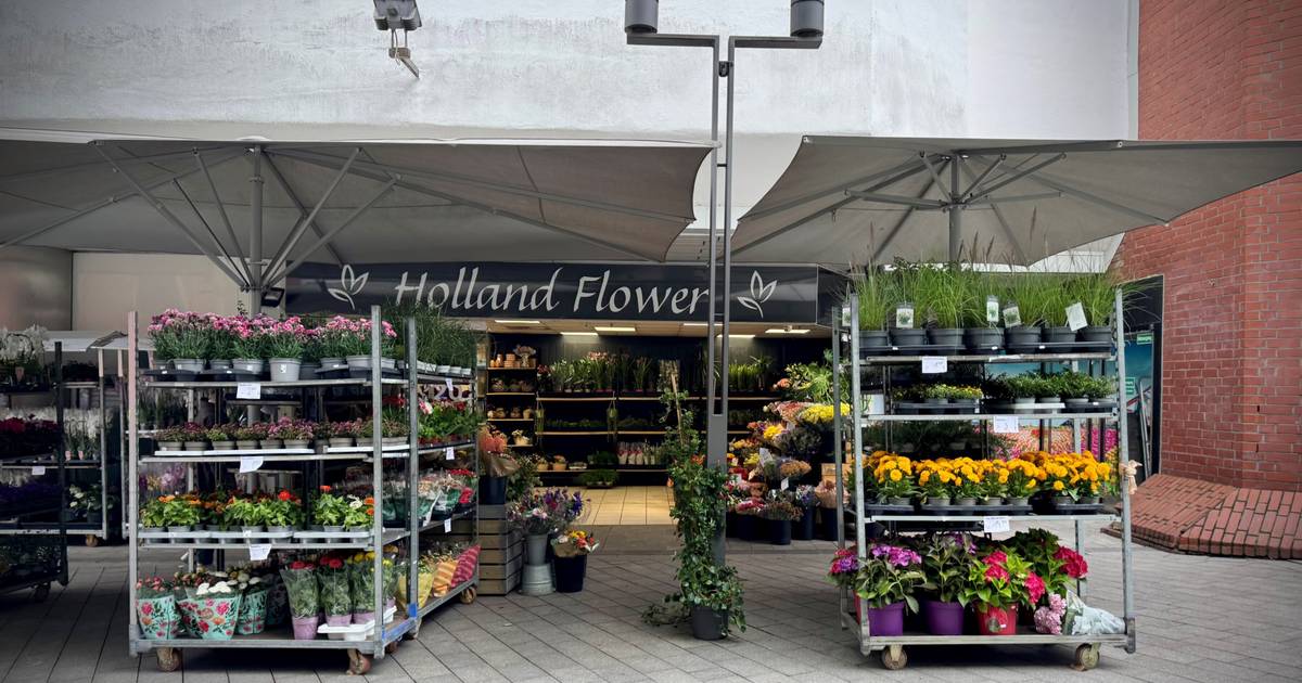 Wie es mit den Mietern im früheren Kaufhof weitergeht