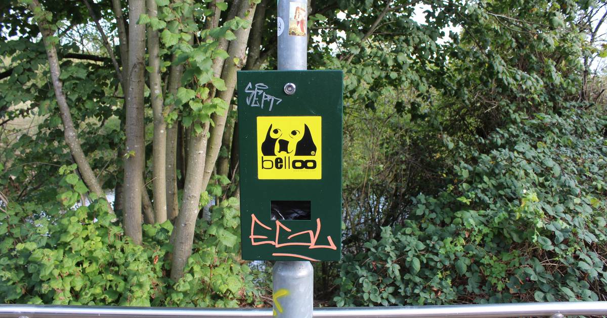 Hunderhalter starten Petition für Kotbeutel