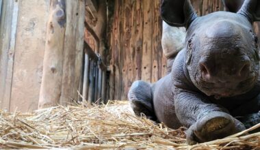 Diese Zoos und Tierparks sind schnell erreichbar