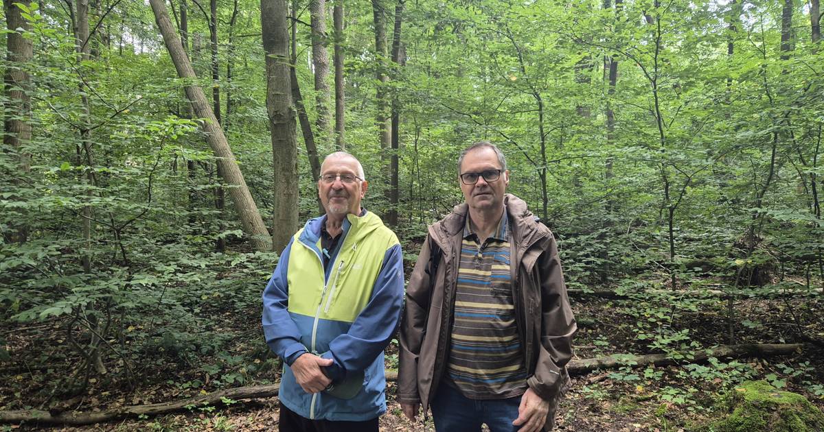 Trauerbegleitung in Bonn: Wie Wandern helfen kann