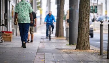 Konrad-Adenauer-Platz in Bonn-Beuel: Bäume durch Asphalt versiegelt