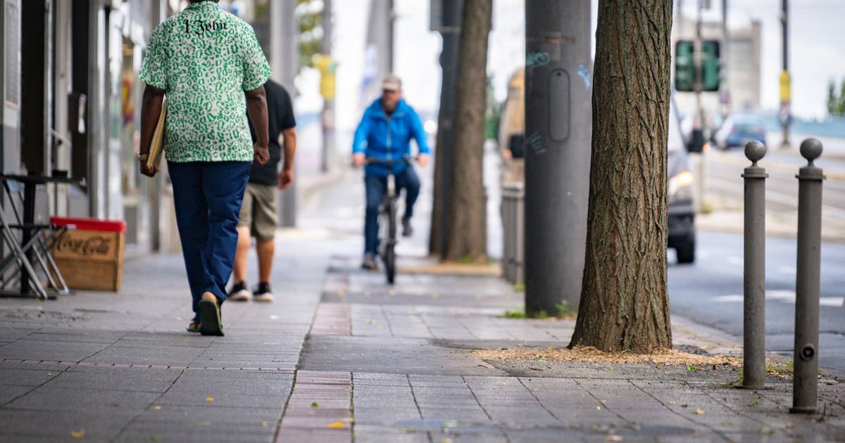 Konrad-Adenauer-Platz in Bonn-Beuel: Bäume durch Asphalt versiegelt