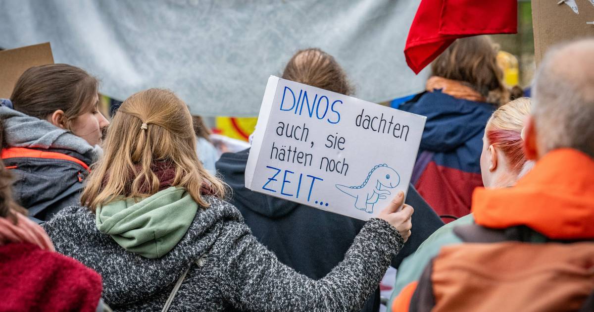 Was die erste Klimabefragung in Bonn brachte