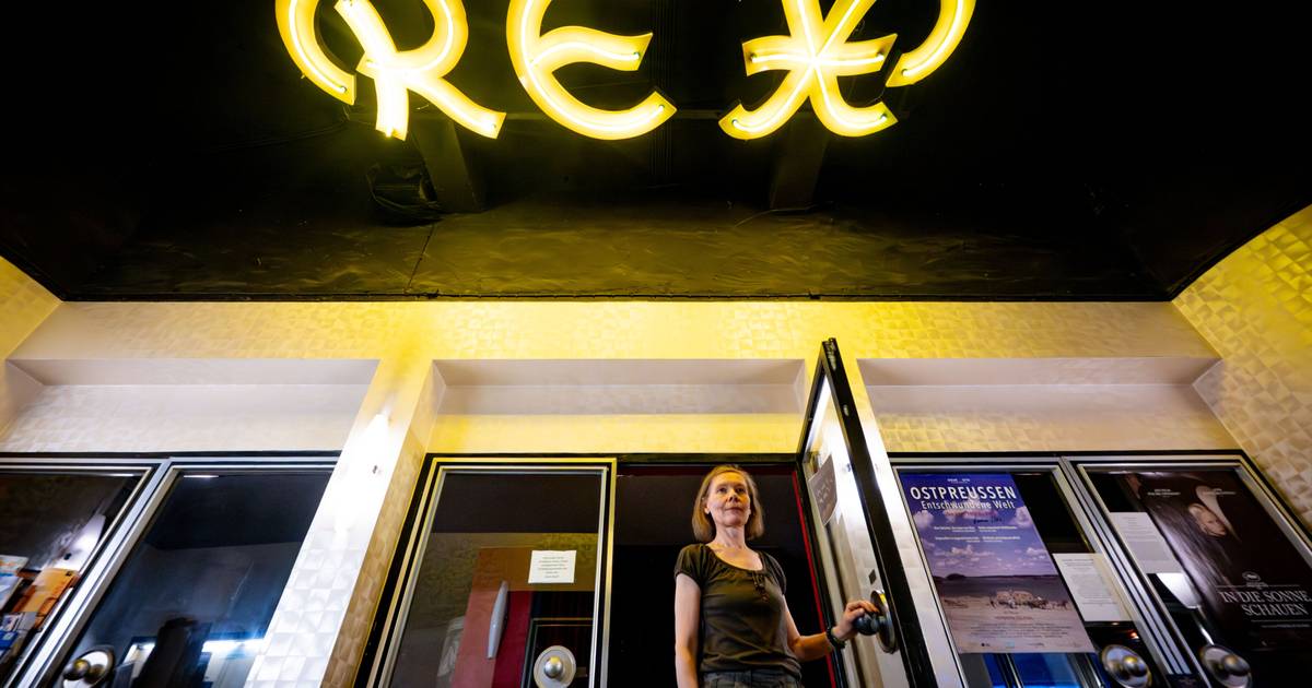 Rex in Bonn: Das erlebt eine Filmvorführerin
