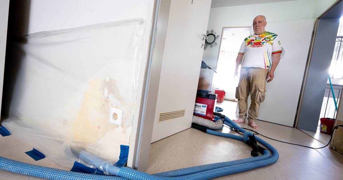 Mieter der Vebowag leben in verschimmelter Wohnung