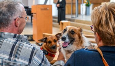 So war der Gottesdienst für Mensch und Tier in der Stadtkirche