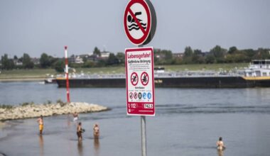 Badende ärgern sich über Schwimmverbot im Rhein