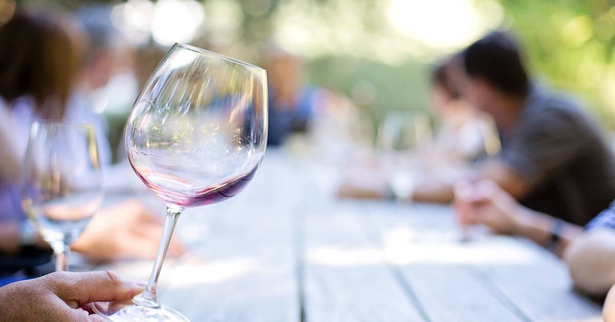 Wochenend-Tipps für Bonn ab 15. August: Konzerte, Weinfest