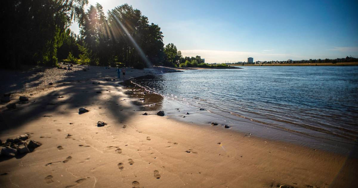 Name Paradiesstrand in Düsseldorf löschen? Das ist falsch