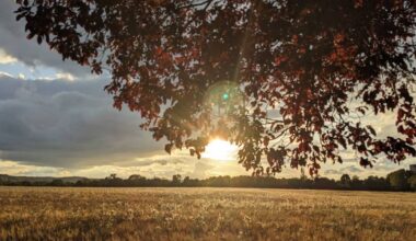 Bonn: Schüsse im Meßdorfer Feld