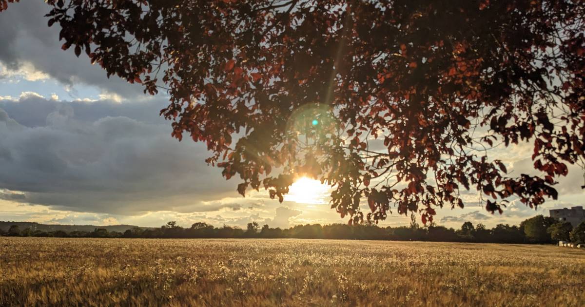 Bonn: Schüsse im Meßdorfer Feld