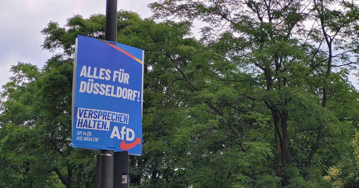 Bundesschiedsgericht entscheidet in Düsseldorfer AfD-Streit