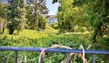 Ein neuer Park für Flingern 