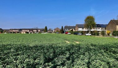 Kapellener fühlt sich von der Stadt „enteignet“