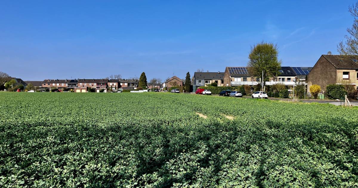 Kapellener fühlt sich von der Stadt „enteignet“