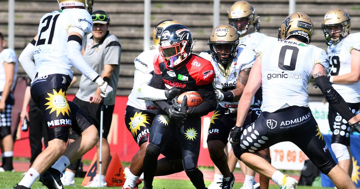 Düsseldorf Panther reisen zum Auswärtsspiel nach Kiel
