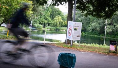 Stadt Bonn sieht kein Problem wegen Algen im Rheinauensee