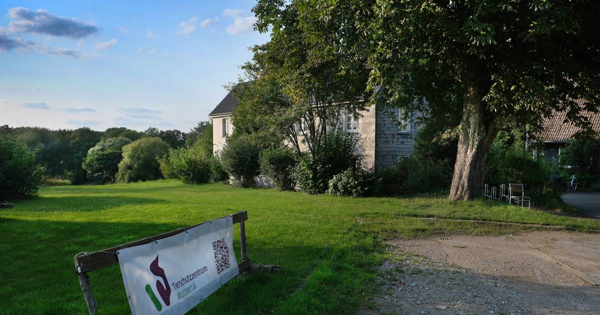 Wülfrath/Wuppertal: Gericht entscheidet über Tierschutzzentrum