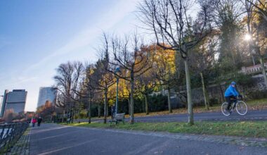 Kolumne zu angeschlossenen Bänken am Bonner Rheinufer