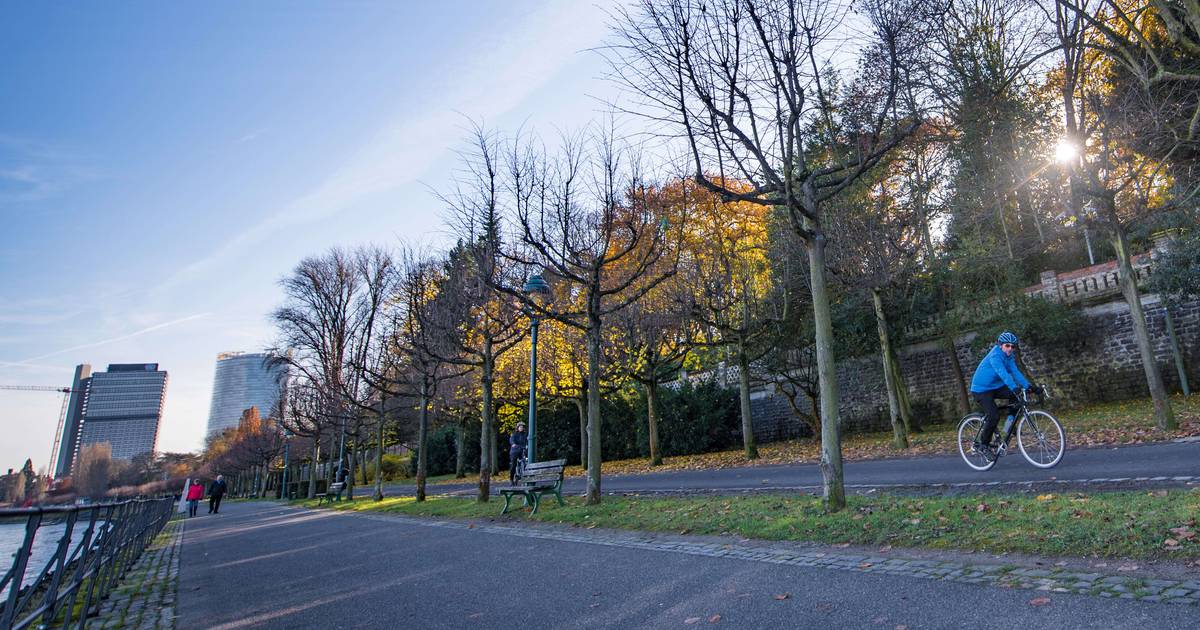 Kolumne zu angeschlossenen Bänken am Bonner Rheinufer
