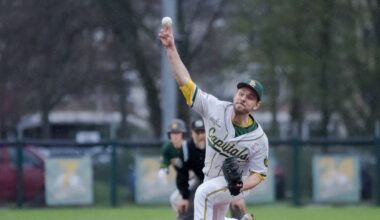 Baseball-Playoffs in Bonn