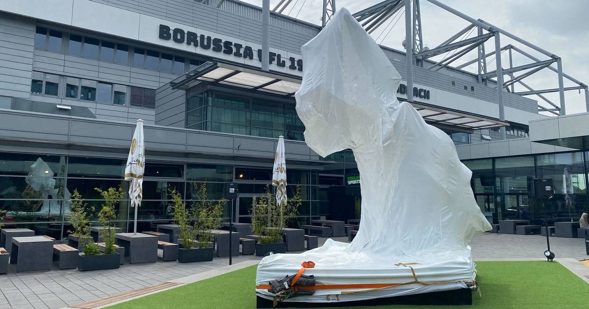 Gladbach: Neue Statue wohl ein Fohlen