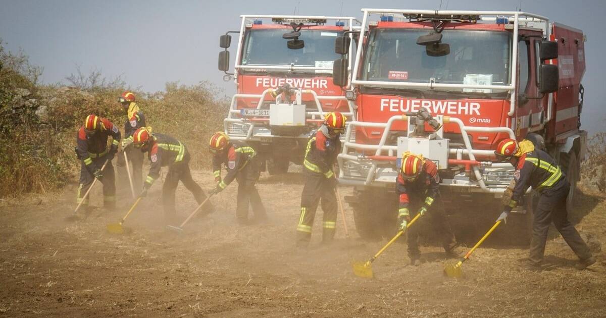 Feuerwehrleute aus der Region in Spanien im Einsatz