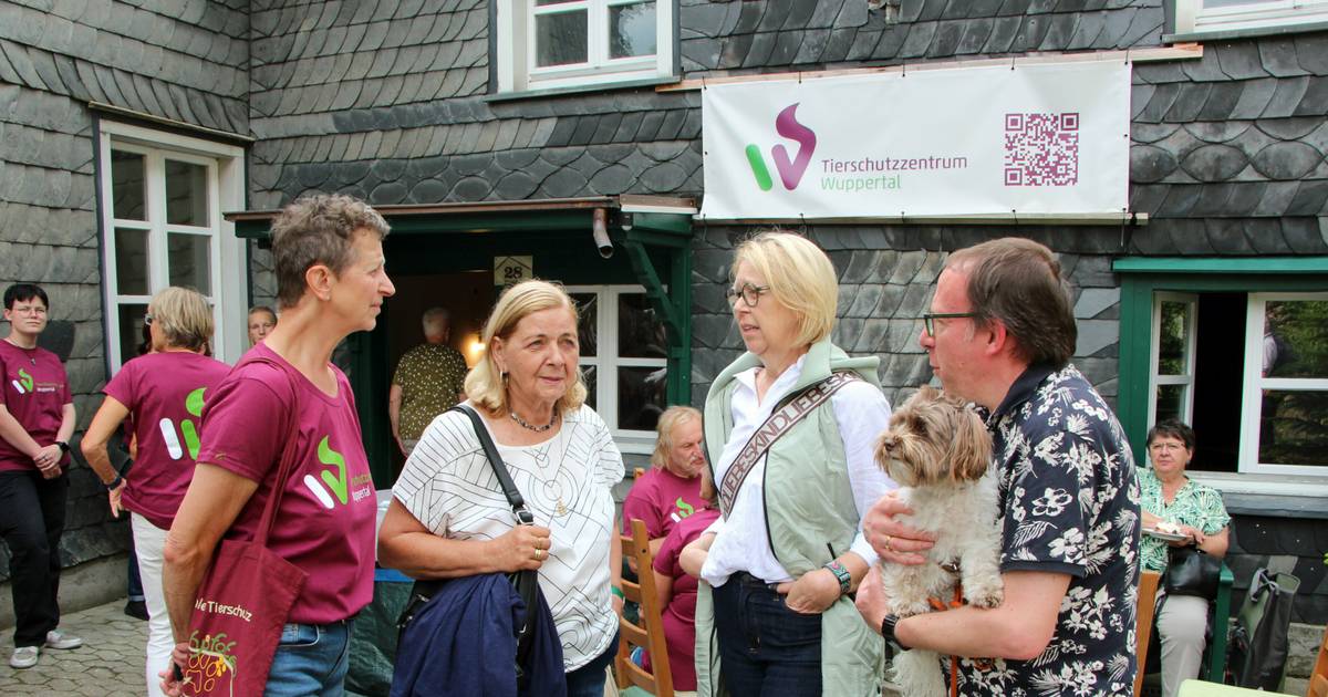 Mediation soll Streit Tierschutzzentrum lösen
