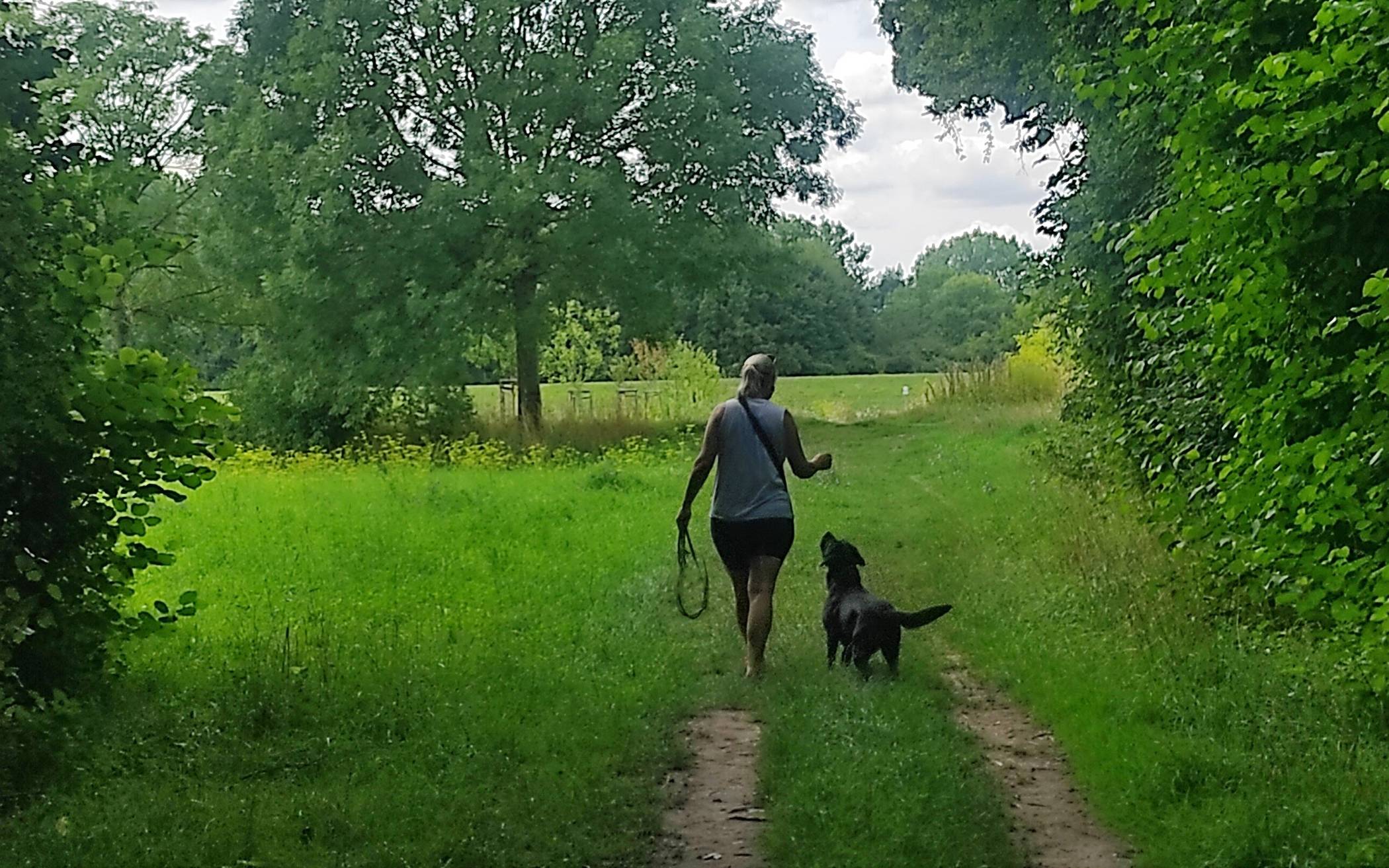 Während des Hundespaziergangs könen Besitzerinnen und Besitzer nicht mehr einfach einen Hundekotbeutel aus einem Spender ziehen.