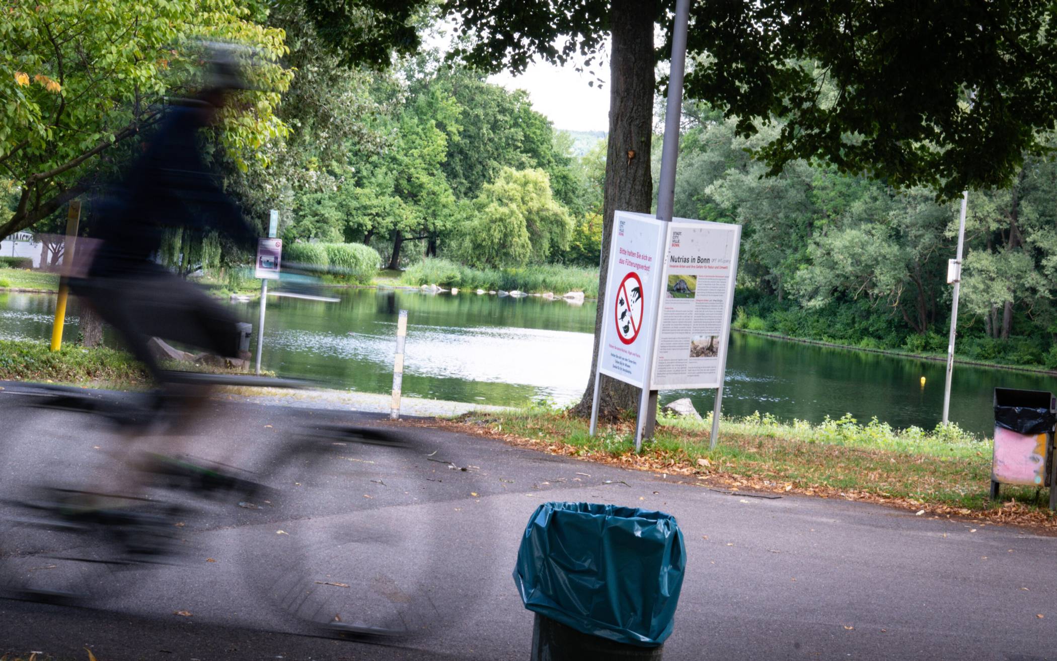 Der Rheinauensee in Bonn.