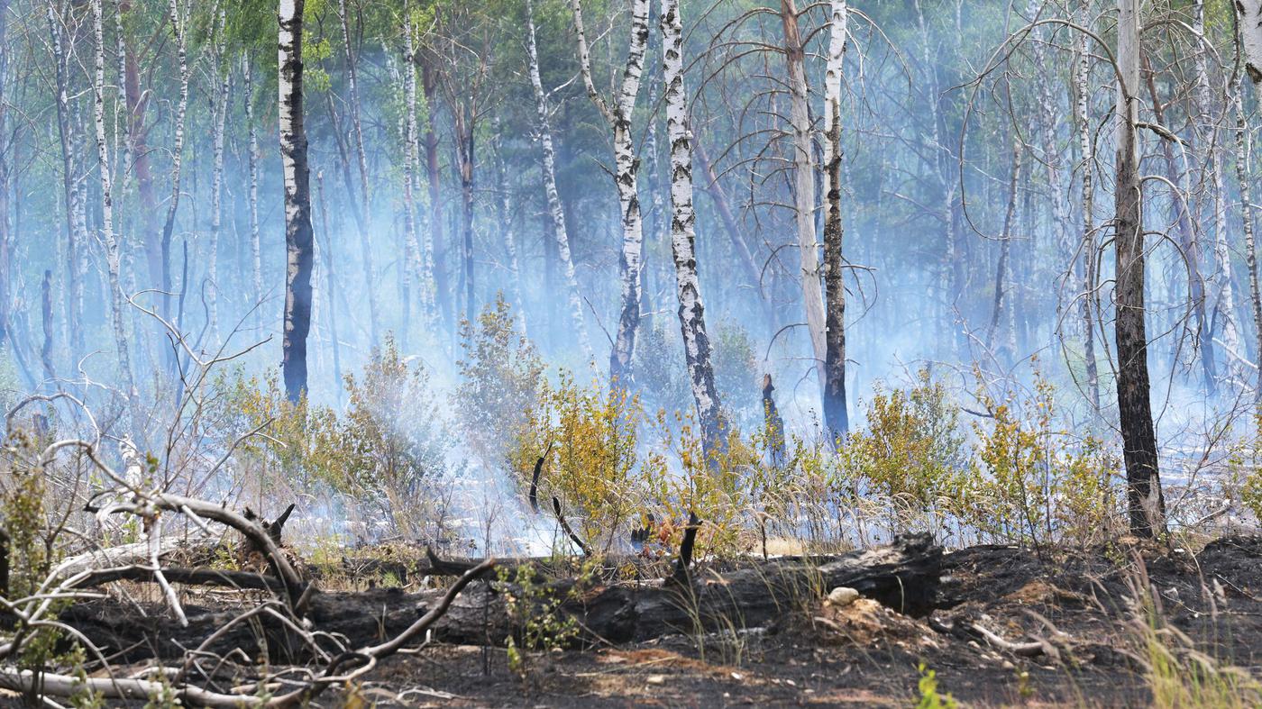 Waldbrand bei Bernau – Warnung der Feuerwehr