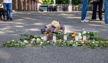 Nordrhein-Westfalen: Nach Pavian-Tötungen in Nürnberg: Wieso Zoos gesunde Tiere töten