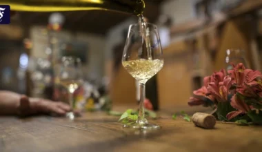 So finden Sie im Restaurant den richtigen Wein zu Ihrer Speise