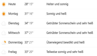 Hitzewelle in den nächsten Tagen – Sommer zeigt sich mit Hochtemperaturen – /// MRN-News.de