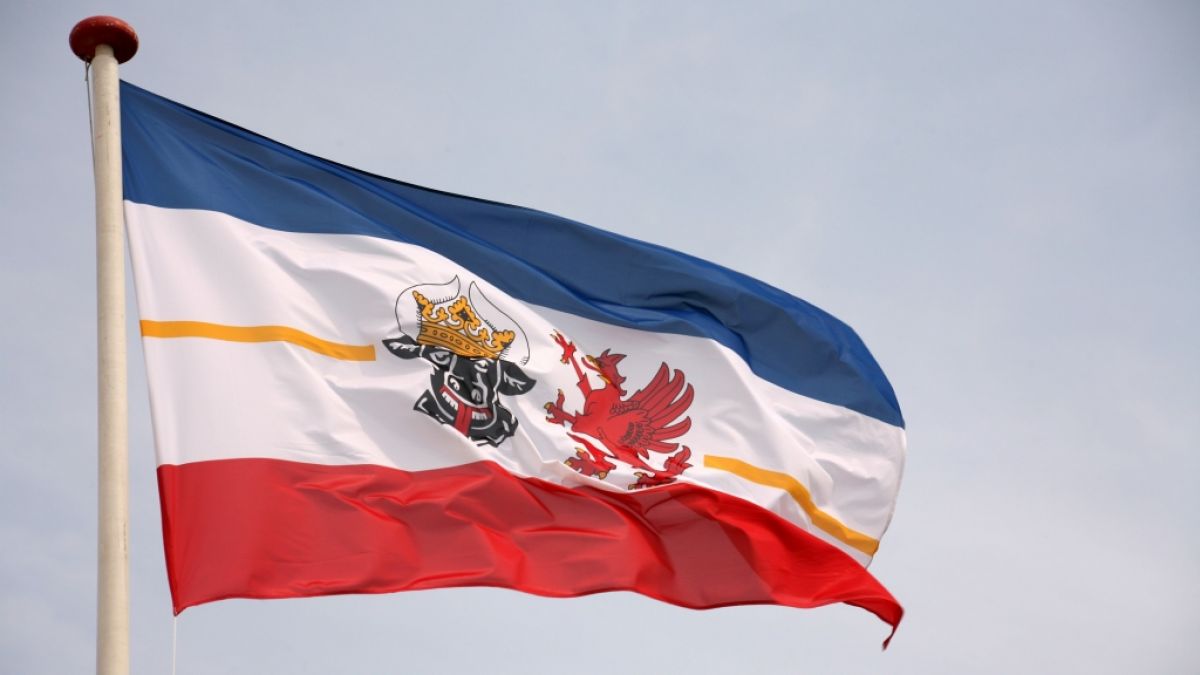 So krank ist Mecklenburg-Vorpommern: Corona, Grippe, RSV aktuell im August 2025