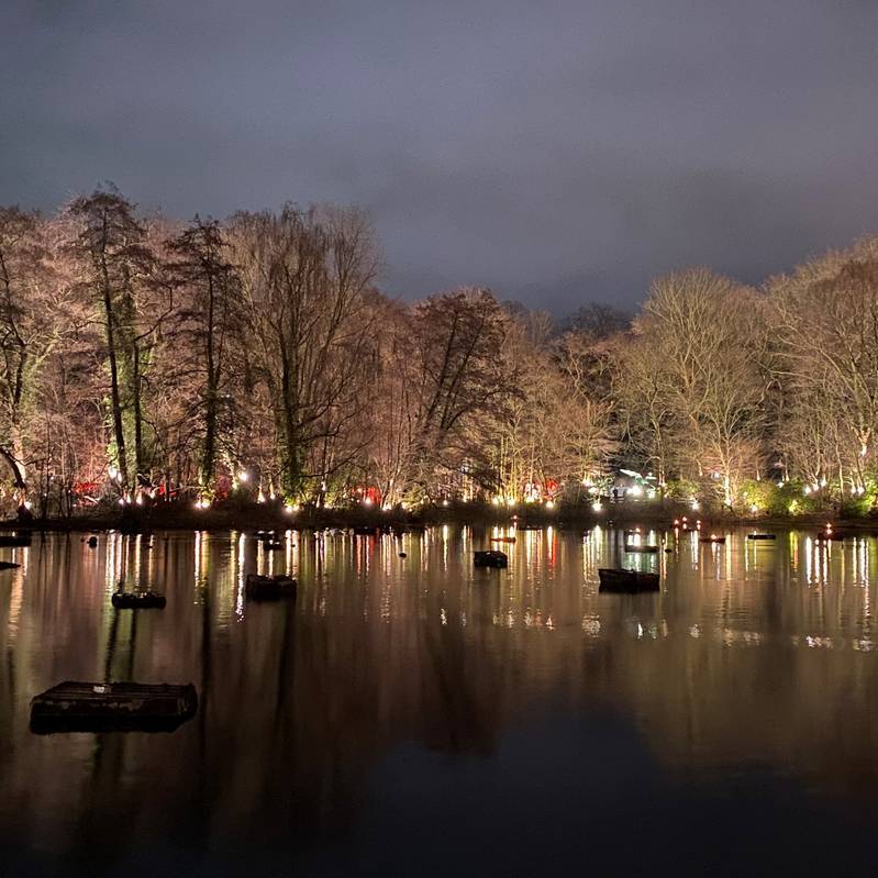 Entwarnung für Hundebesitzer in Dortmund: Keine Blaualgen im Revierpark