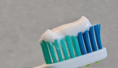 Faktenblatt zur Zahngesundheit in Kindertagesstätten und Schulen veröffentlicht
