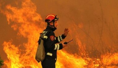 Waldbrände in Europa erreichen 2025 Rekordniveau