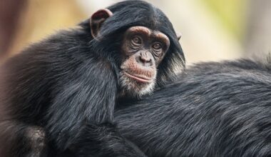 Tierpark Bochum