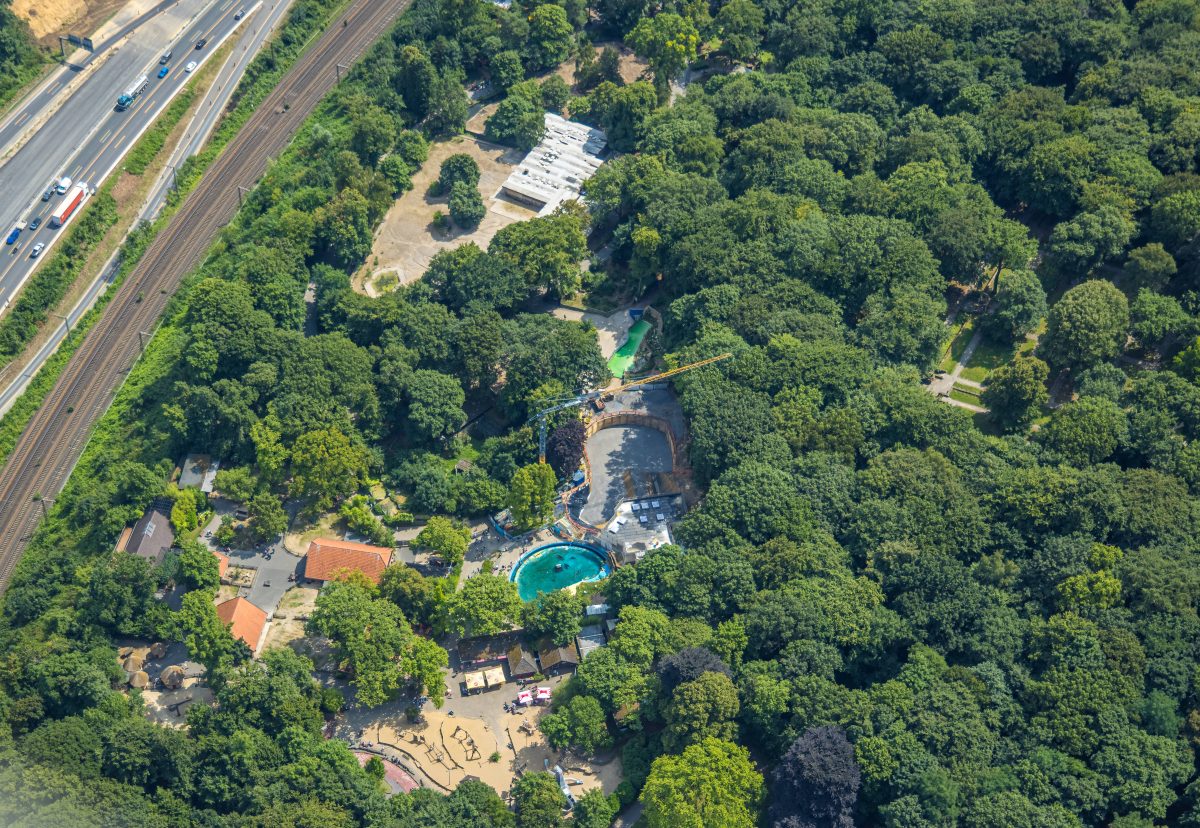 Zoo Duisburg macht es offiziell – Besucher werden es sofort sehen