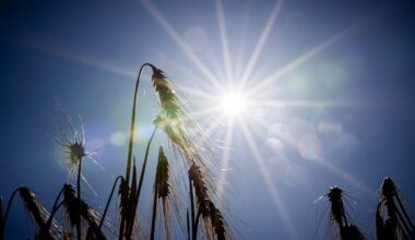 Heute zeigt sich das Wetter in der Hauptstadtregion meist freundlich und sommerlich warm – nach morgendlichem Nebel. (Archivbild