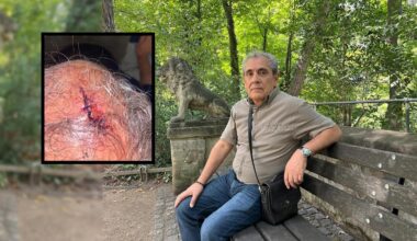 Fürth: Warum stoppt niemand den irren Stadtpark-Prügler? | Regional