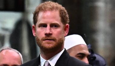 Prinz Harry: Sabotieren „Männer in grauen Anzügen“ seinen Papa-Plan? | Unterhaltung