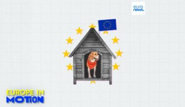 Hunde als Haustiere: Wo in der EU ist der beste Freund des Menschen am beliebtesten?