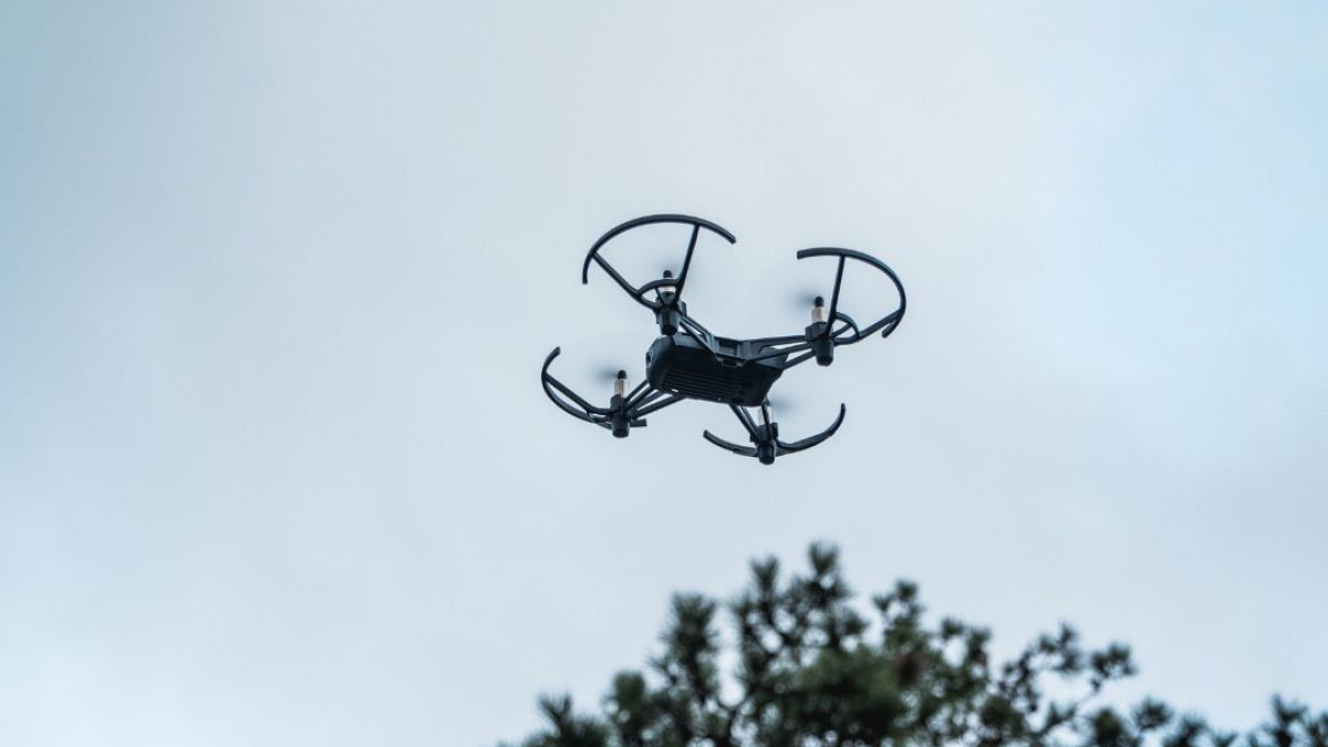 Kann eine Drohnenmauer Europas Ostflanke vor Russland schützen?