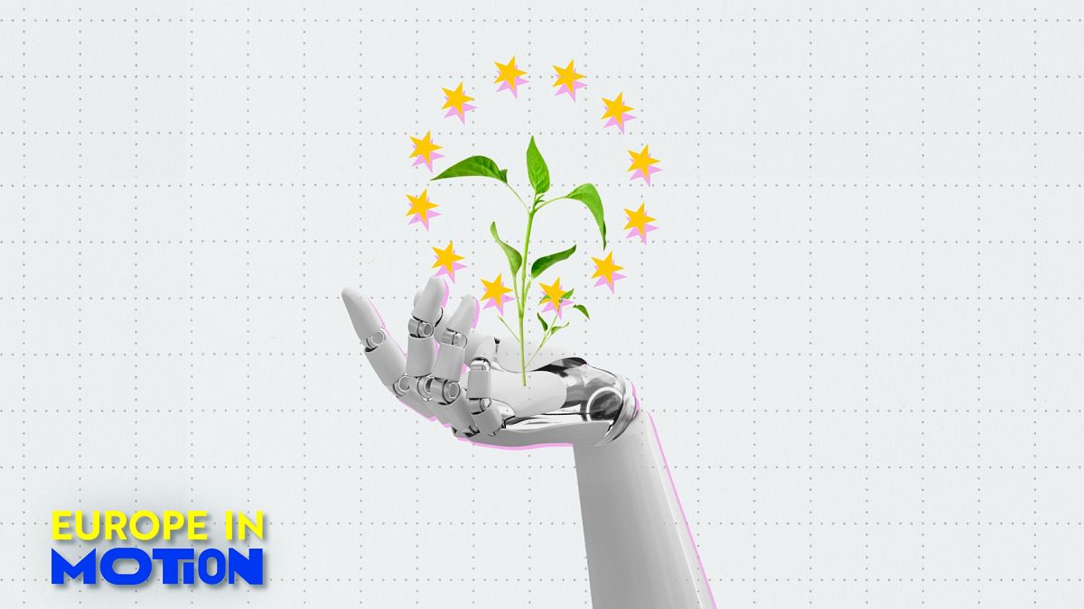 Welches europäische Land produziert am meisten erneuerbare Energien?