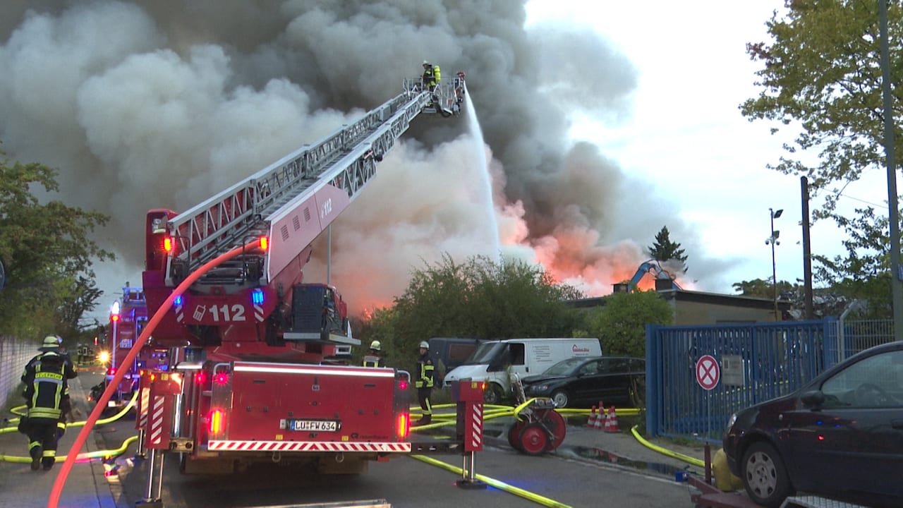 Feuerwehr warnt vor Brandgasen: Hunderte Schrott-Autos stehen in Flammen | Regional